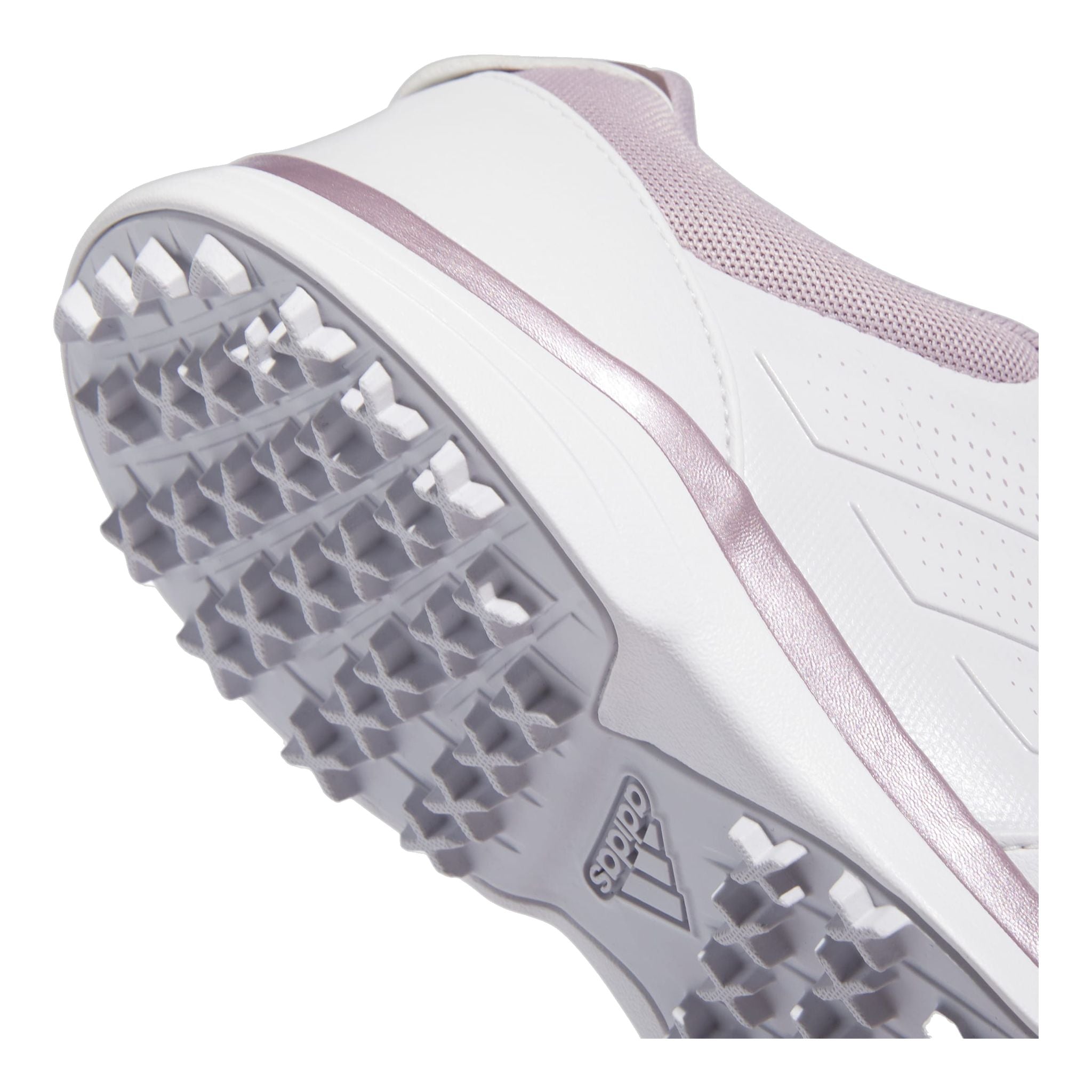Adidas Alphaflex 24 Traxion Golfschuh Damen
