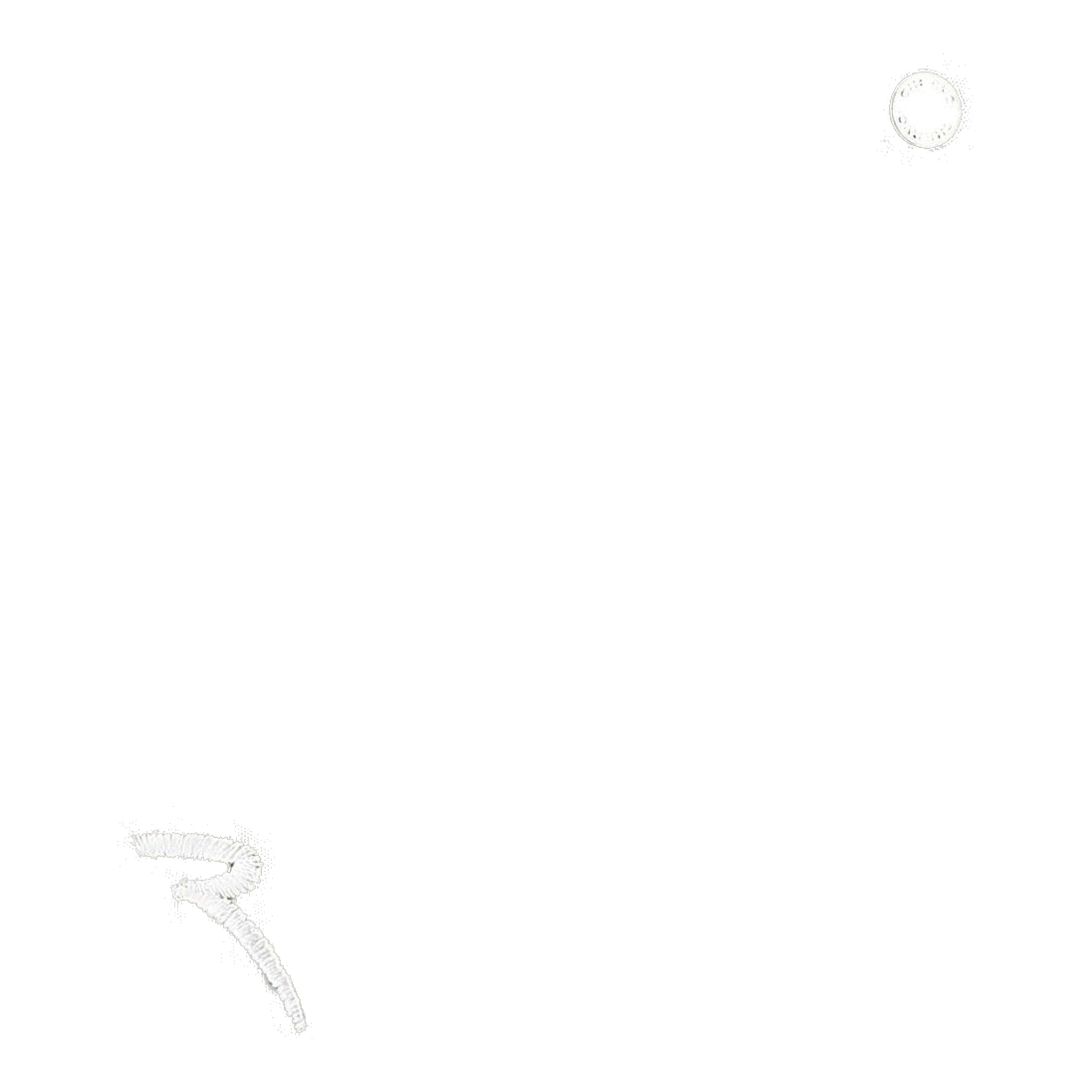 Chervo W Sbiadir Hose Hellgrau Damen