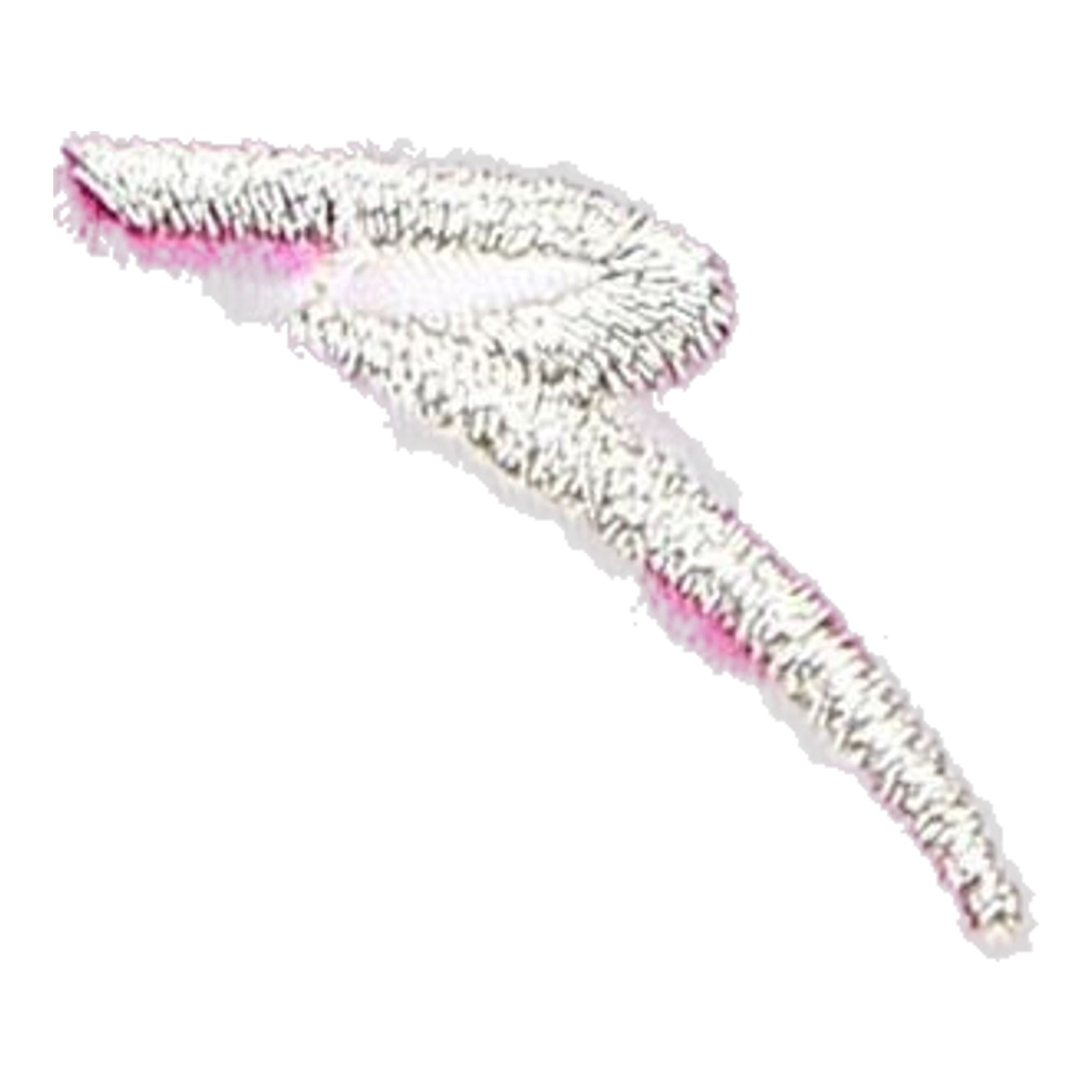 Chervo W Annaoxa SL Polo Rosa gepunktet Damen