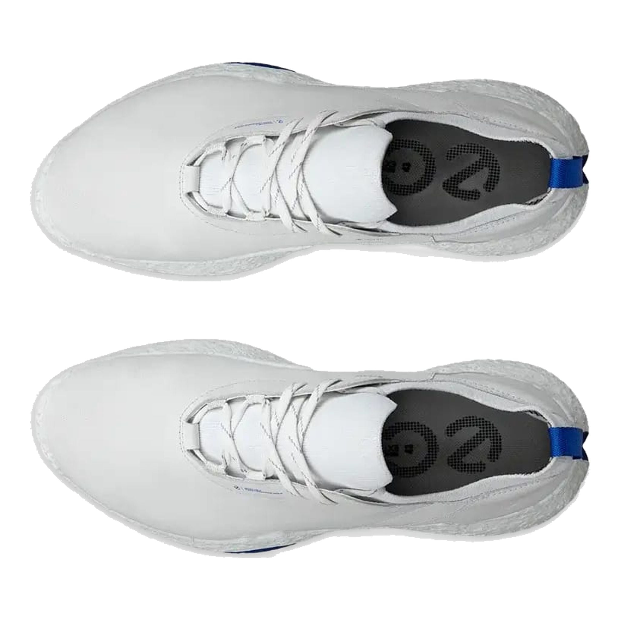 Ecco Golf Biom H5 Schuhe Herren