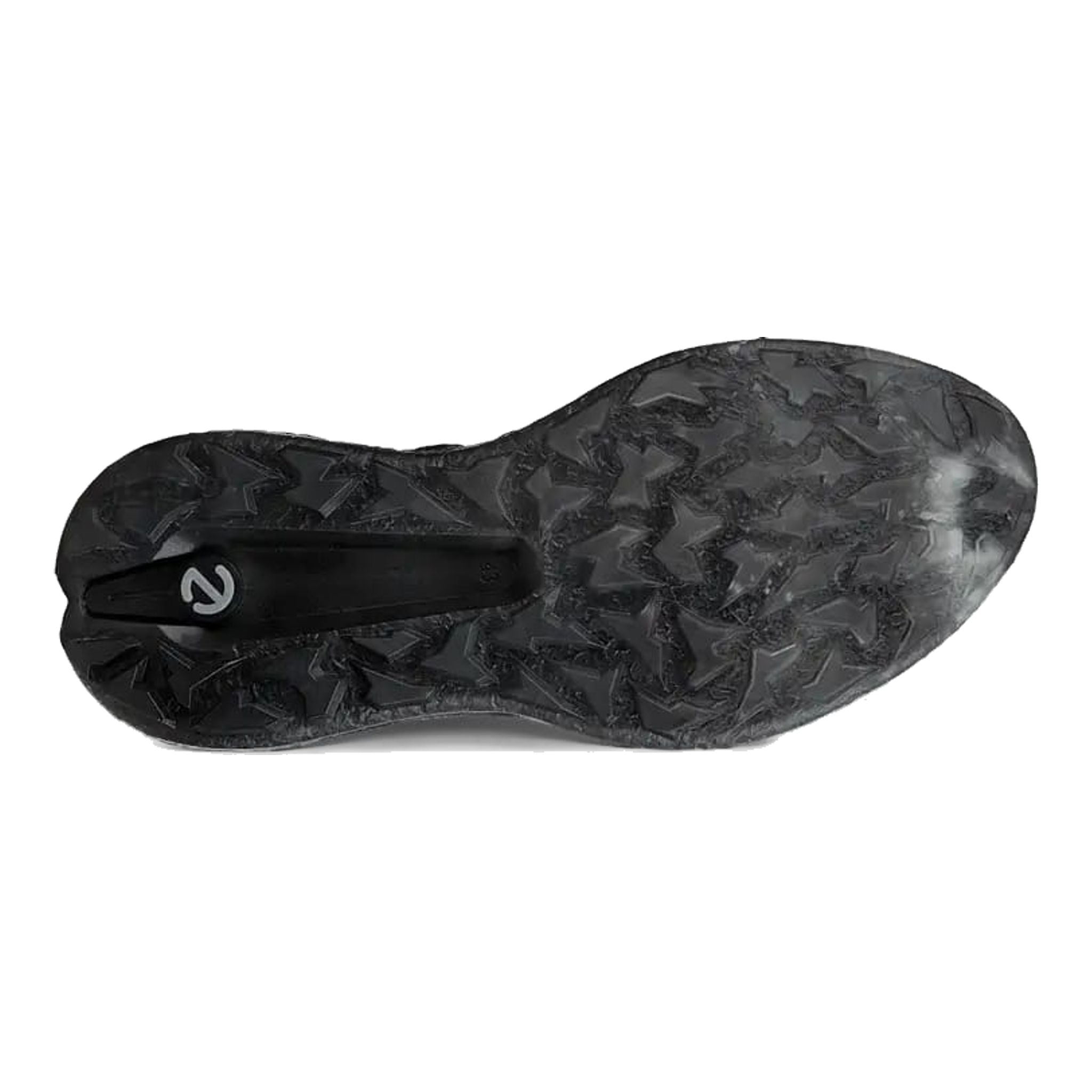 Ecco Golf Biom H5 Schuhe Herren