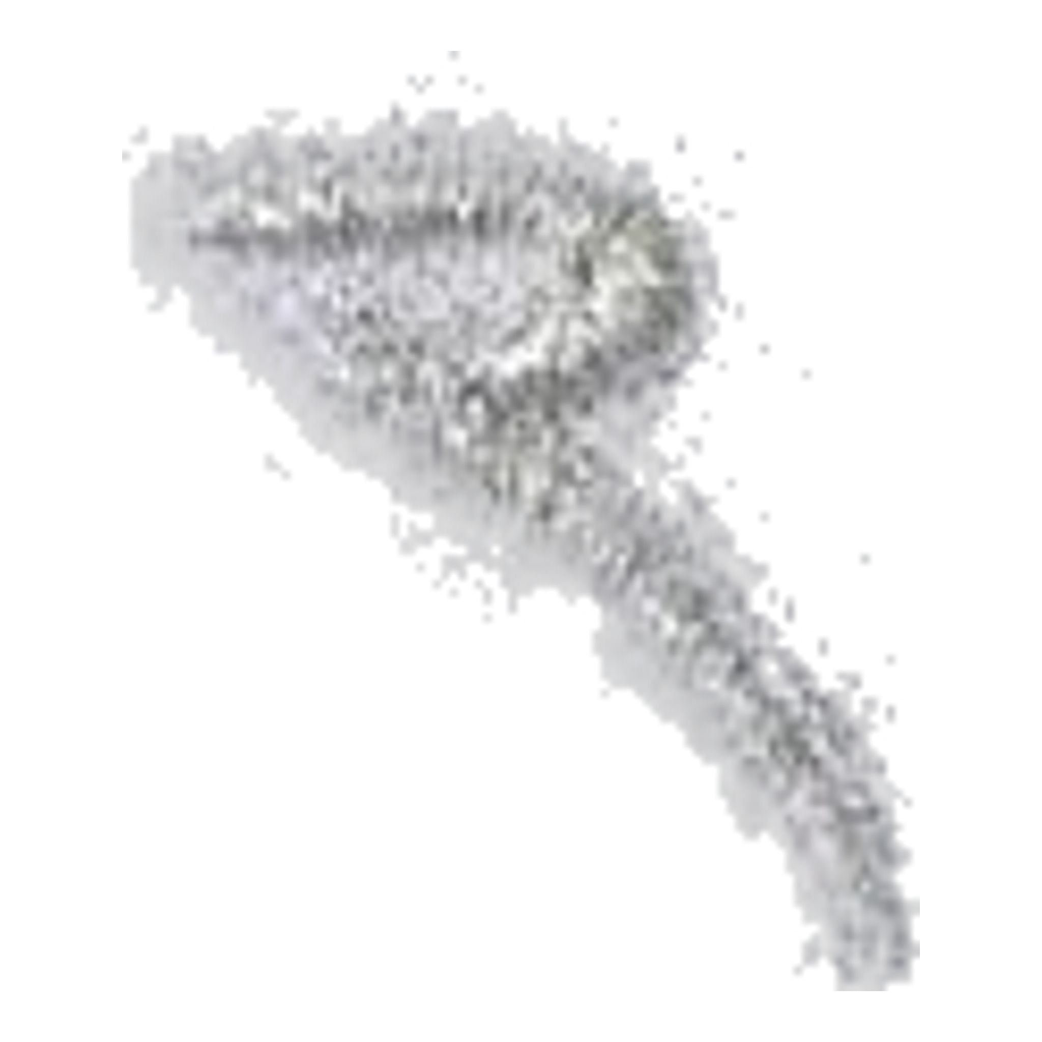 Chervo Arenata Polo Damen