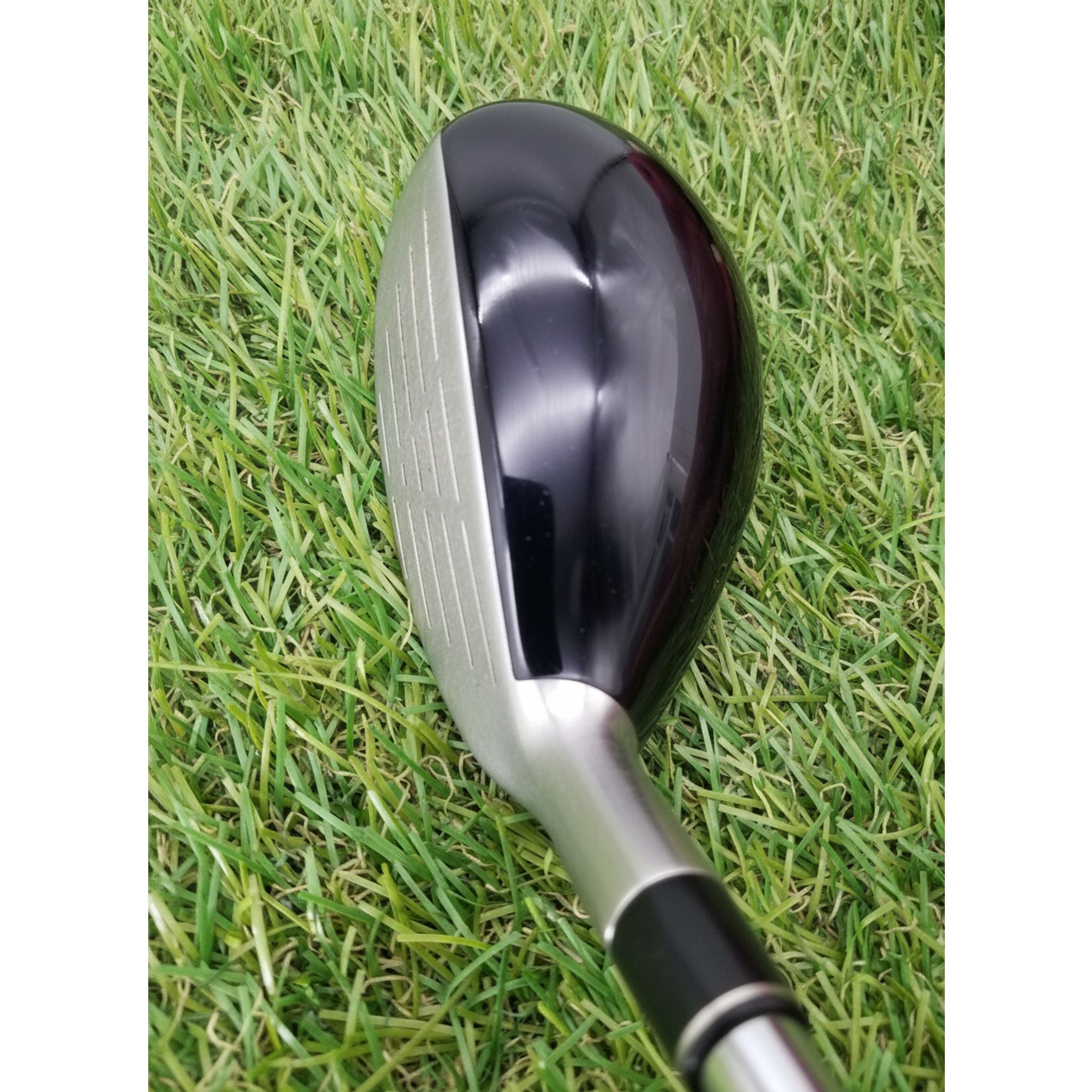 Bridgestone Tour Stage ViQ Hybrid Herren