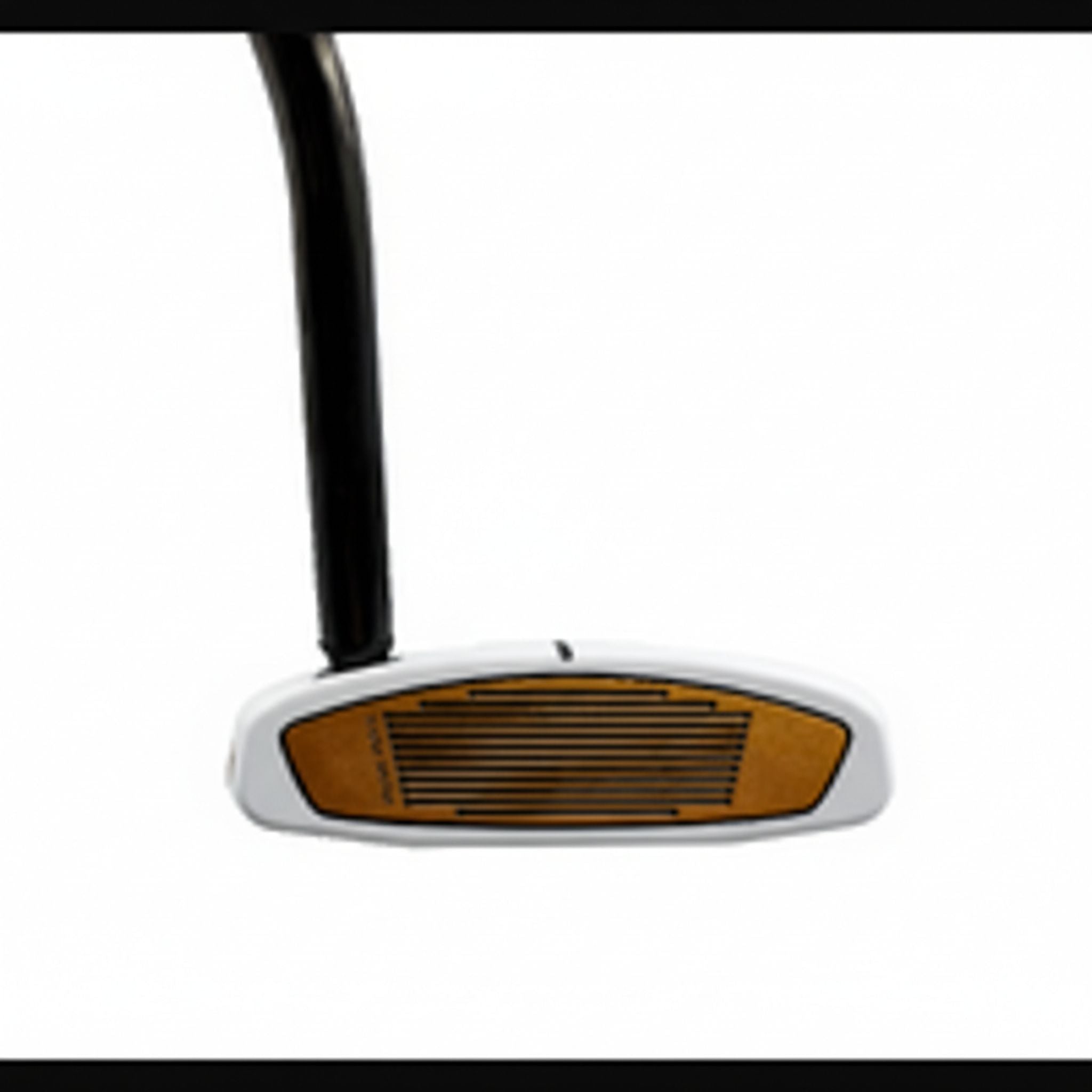 TaylorMade Spider FCG Putter
