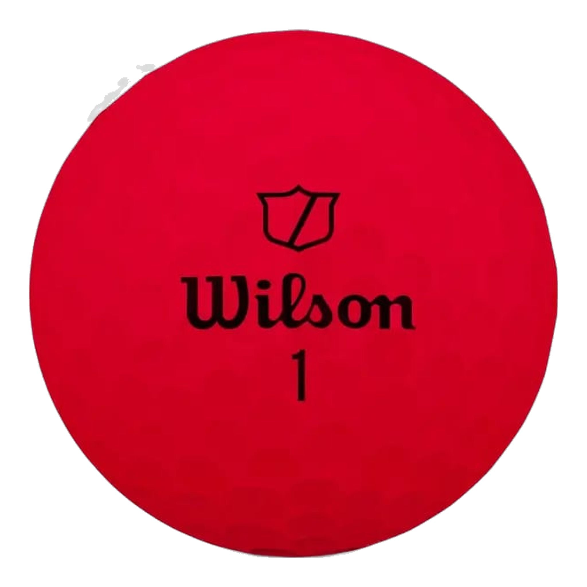 Golfové loptičky Wilson DUO Soft