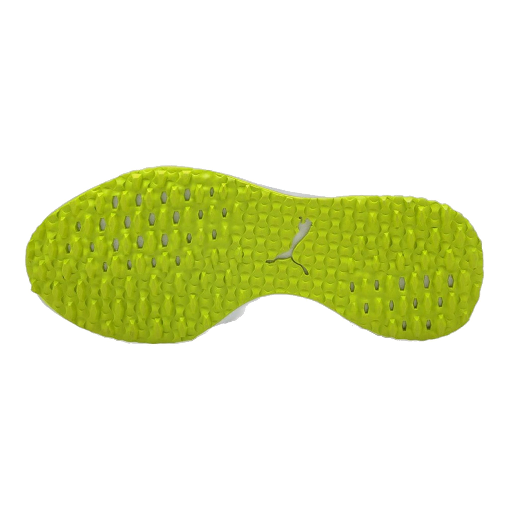 Puma Fusion EVO Golfschuhe