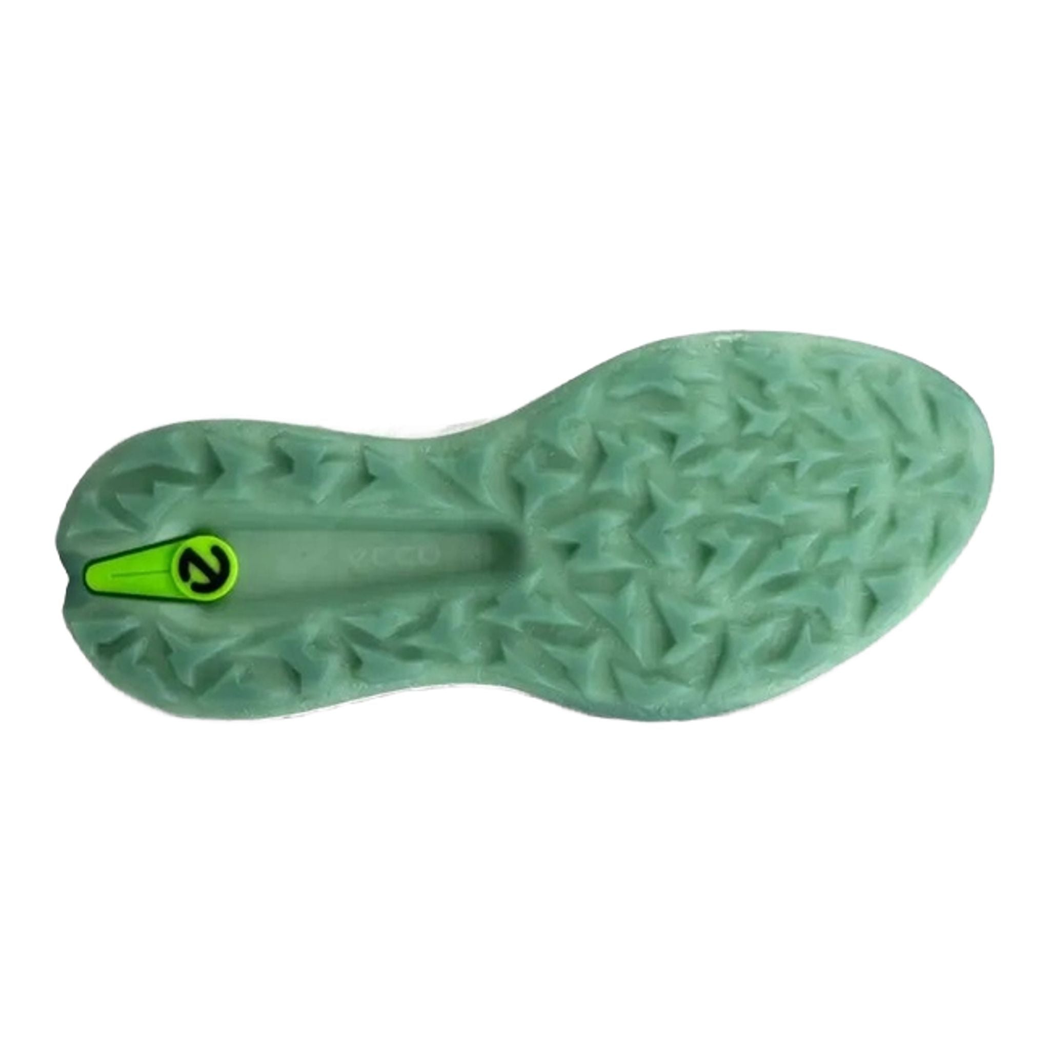 Ecco Biom H5 Golfschuhe Herren