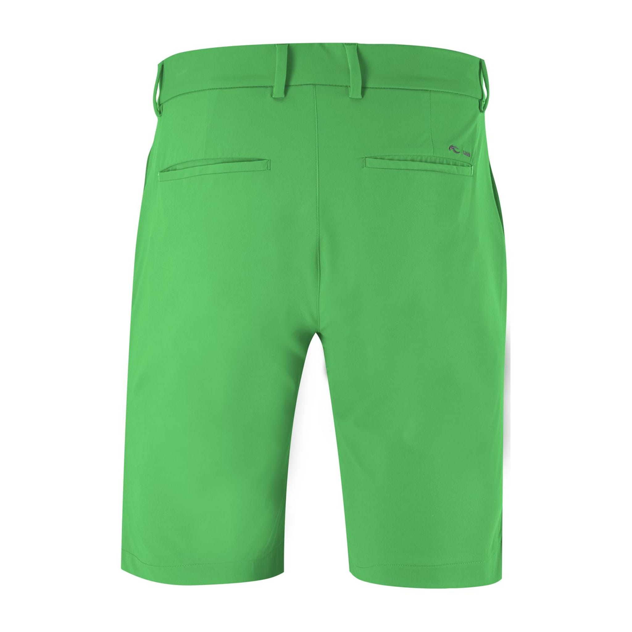Kjus M Iver Shorts Spring Grün Herren