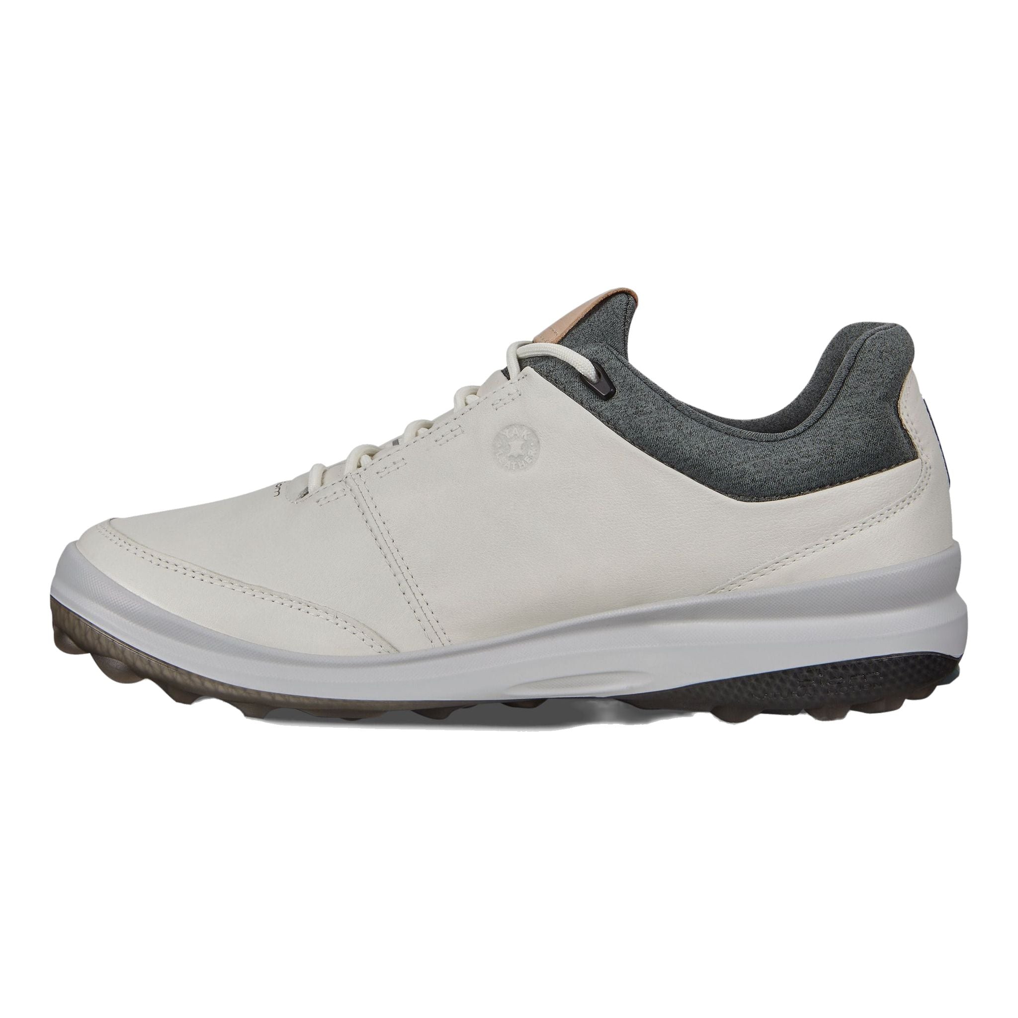 Ecco M Biom Hybrid 3 White/Lake/Racer Yak Herren