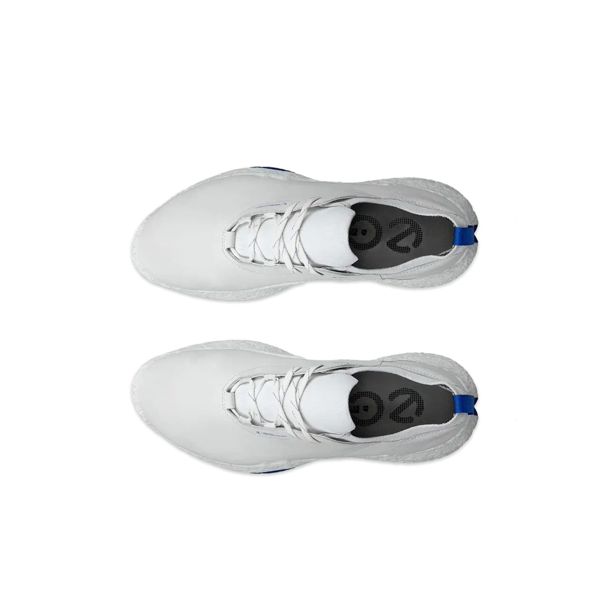 Ecco Golf Biom H5 Schuhe Herren