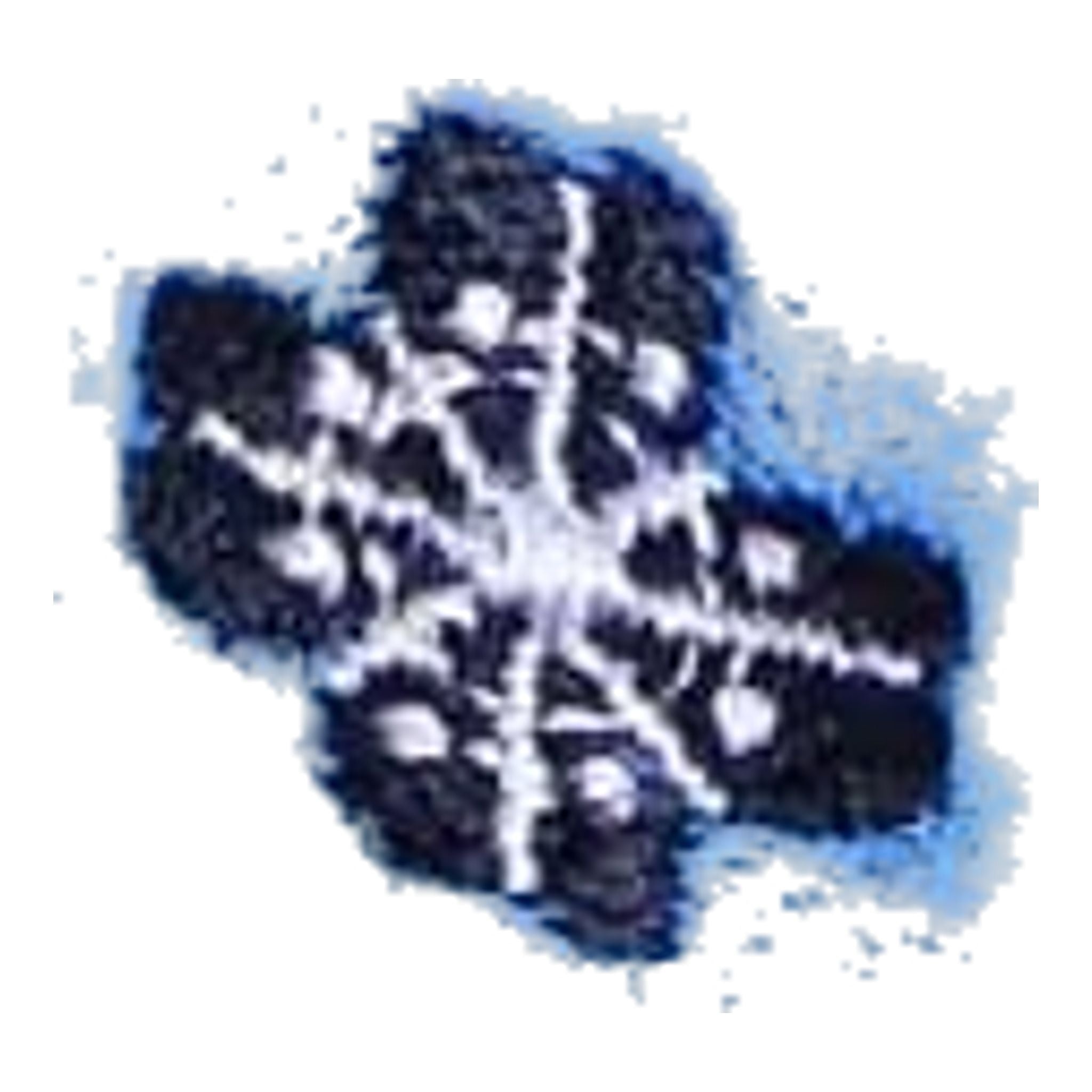 Chervo Viviana Kleid Damen